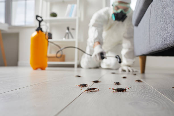 Trusted Cockroach Control service in Tunkhannock, PA - Nex Pest Control